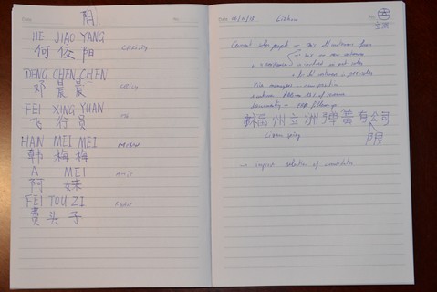 Notes in Chinese