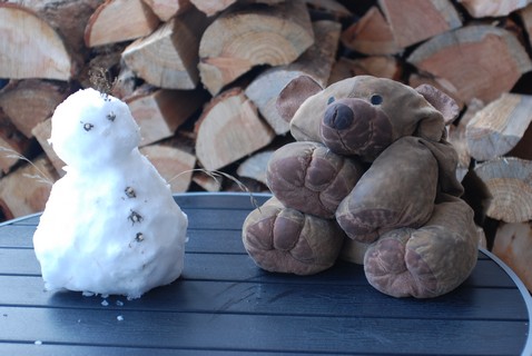 Little snowman and Teddy