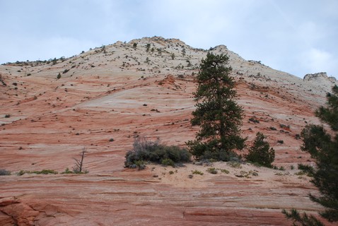 Zion canyon